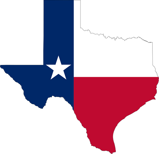 Do You Know the Rule? What ‘Imbecility’ Means for Lifetime Economic Benefits in Texas