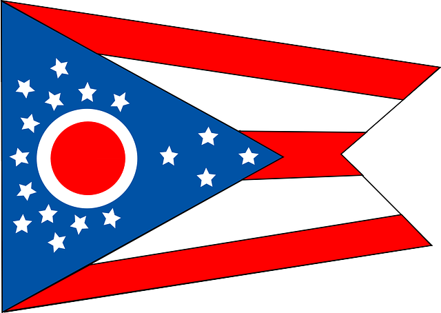 Form Focus: Ohio Motion (C-86)