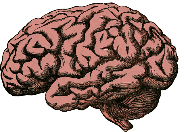 Recent Study Looks at Profiles of Cognitive Function 6 Months after TBI 