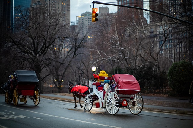 Carriage Driver Union Calls for Hitching Posts to Be Built in Central Park Following Tourist Death    